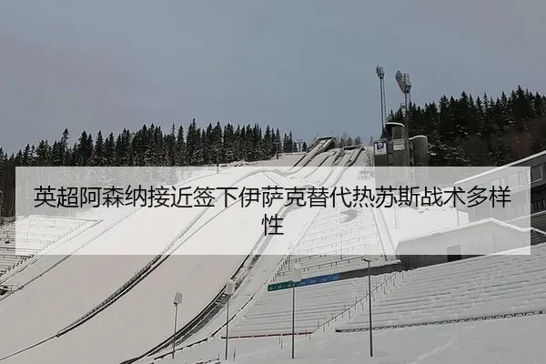 ying-chao-a-sen-na-jie-jin-qian-xia-yi-sa-ke-ti-dai-re-su-si-zhan-shu-duo-yang-xing-3-289.jpg